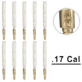 .17 Cal X 10