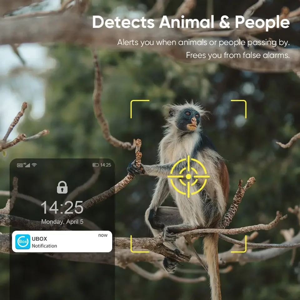 Cámara Solar Wifi/4G 2K, red SIM inalámbrica para exteriores, noche a todo Color, detección de seguridad humana/animal, cámara de vigilancia de vida silvestre - imagen 5