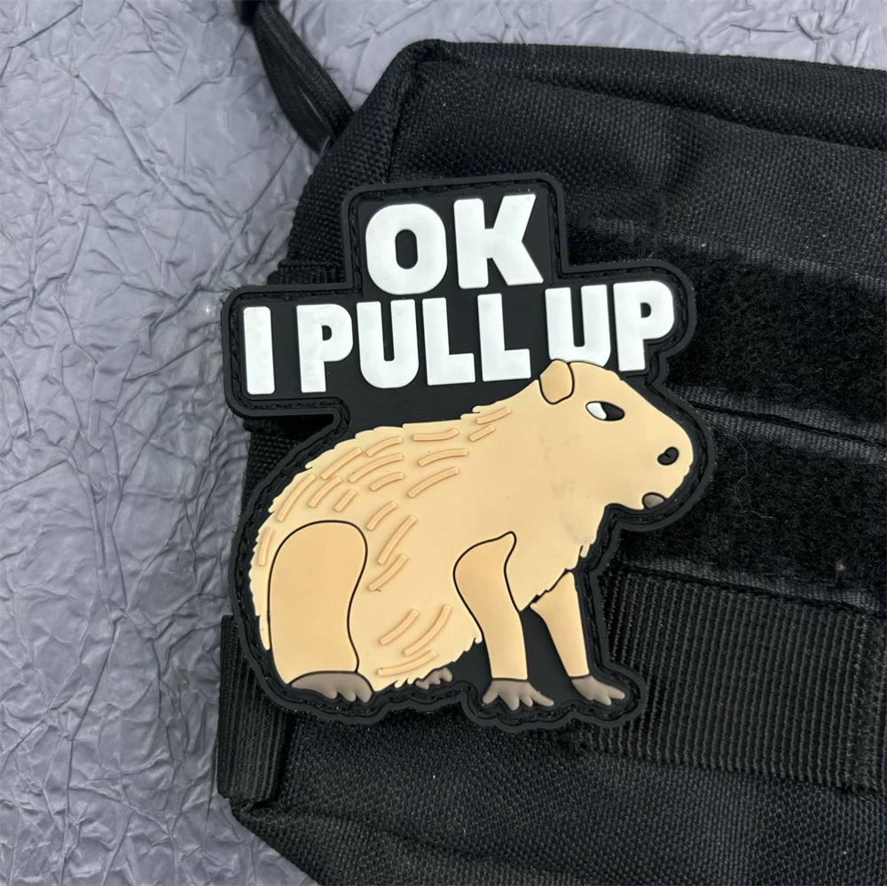 Parches de animales de dibujos animados para ropa, insignia de moral bonita, parche de gato con gancho y bucle, pegatinas para mochila de capibara, apliques - imagen 2