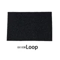 Loop