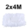 White  2x4M