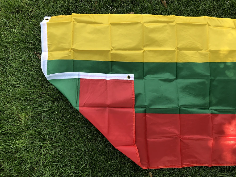 BANDERA SKY 90*150cm banderas lituanas 3x5FTS poliéster colgante bandera de Lituania pancartas exterior interior bandera grande - imagen 4