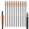 6 Pcs