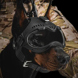 Casco para perro de caza al aire libre, equipo de protección para motocicleta para mascotas con gafas, equipo Protector de cabeza de perro de entrenamiento táctico CS Airsoft