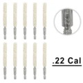 .22 Cal X 10