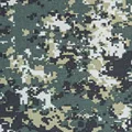 Taiwan Camouflage