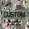 Multicam