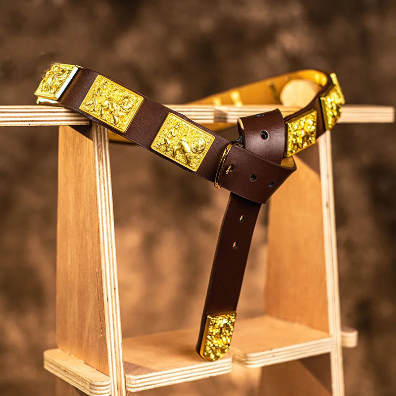Cinturón de cuero con decoración de Metal, accesorios de estilo chino, armadura Hanfu - imagen 5