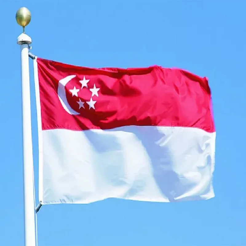 5 unids/lote bandera nacional de Singapur 90x150cm bandera de Singapur bandera nacional de la República de Singapur al por mayor
