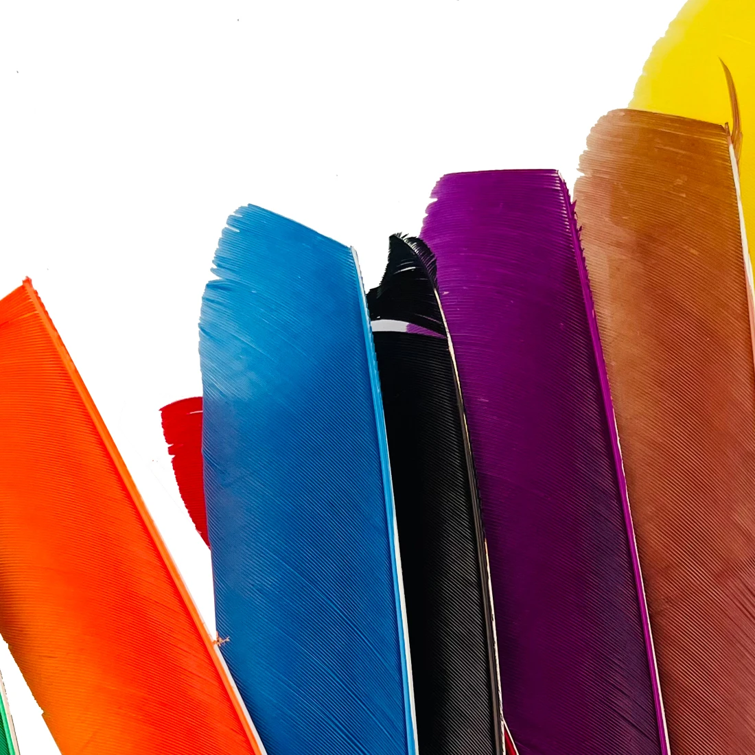 Plumas de flecha de longitud completa de 18-25CM, plumas de tiro con arco de pavo Real, accesorios de arco DIY, ala derecha, 100 piezas - imagen 2