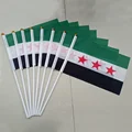 Syria hand flag