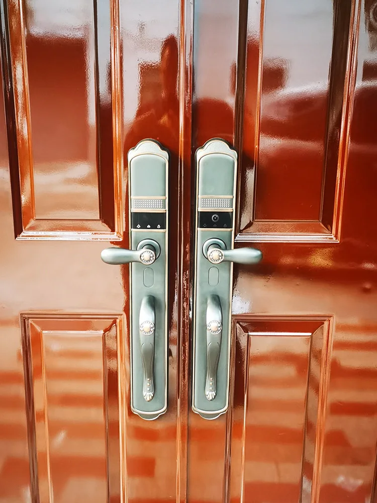Reconocimiento facial de estilo europeo, cerradura de huella dactilar de villa totalmente automática, puerta antirrobo para el hogar, cerradura visual con contraseña - imagen 5