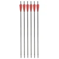 6pcs only arrows