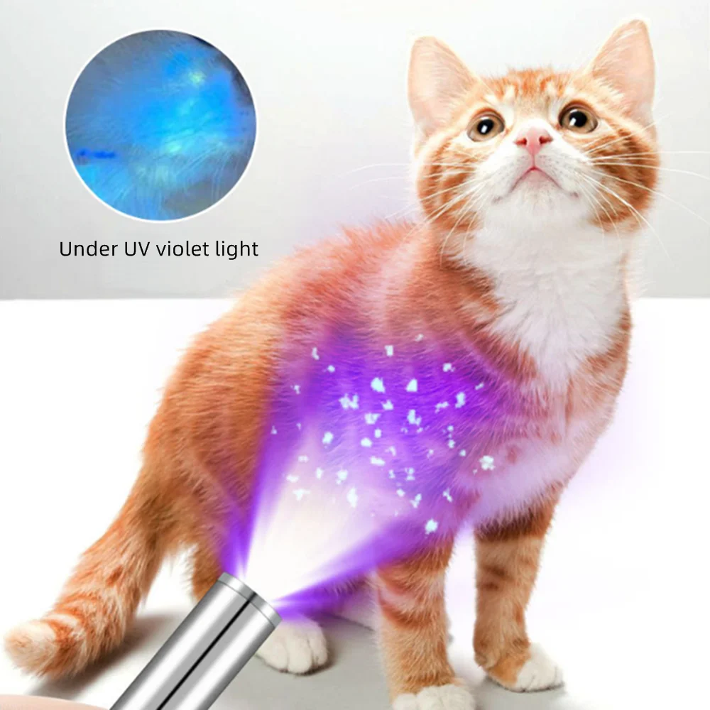 Bolígrafo de luz negra UV de 365nm, linterna con carga USB, mineral de dinero, comida moldeosa, manchas de mascotas, fugas de tiña de gato, marcador de tinta Invisible - imagen 3
