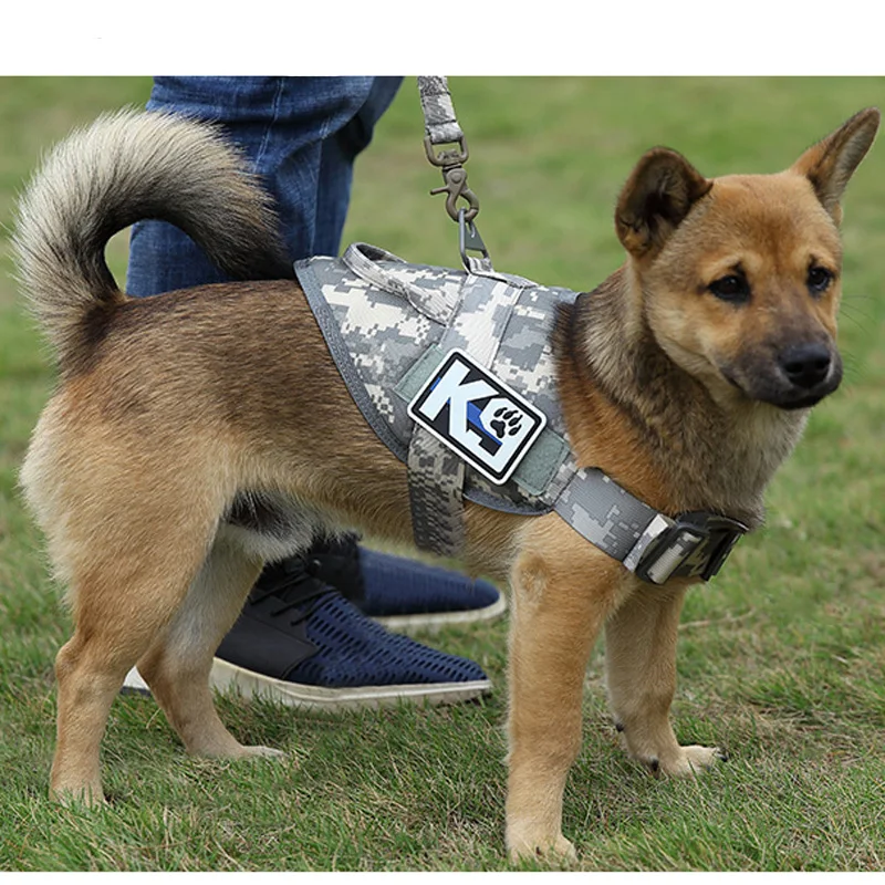 9612832466_1397855441