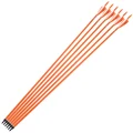 6pcs Orange