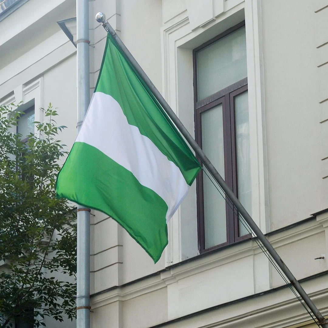 Bandera nacional de Nigeria de 90x150cm NGA NG Nigeria banderas decoración impresa de poliéster tapiz de pancarta - imagen 2