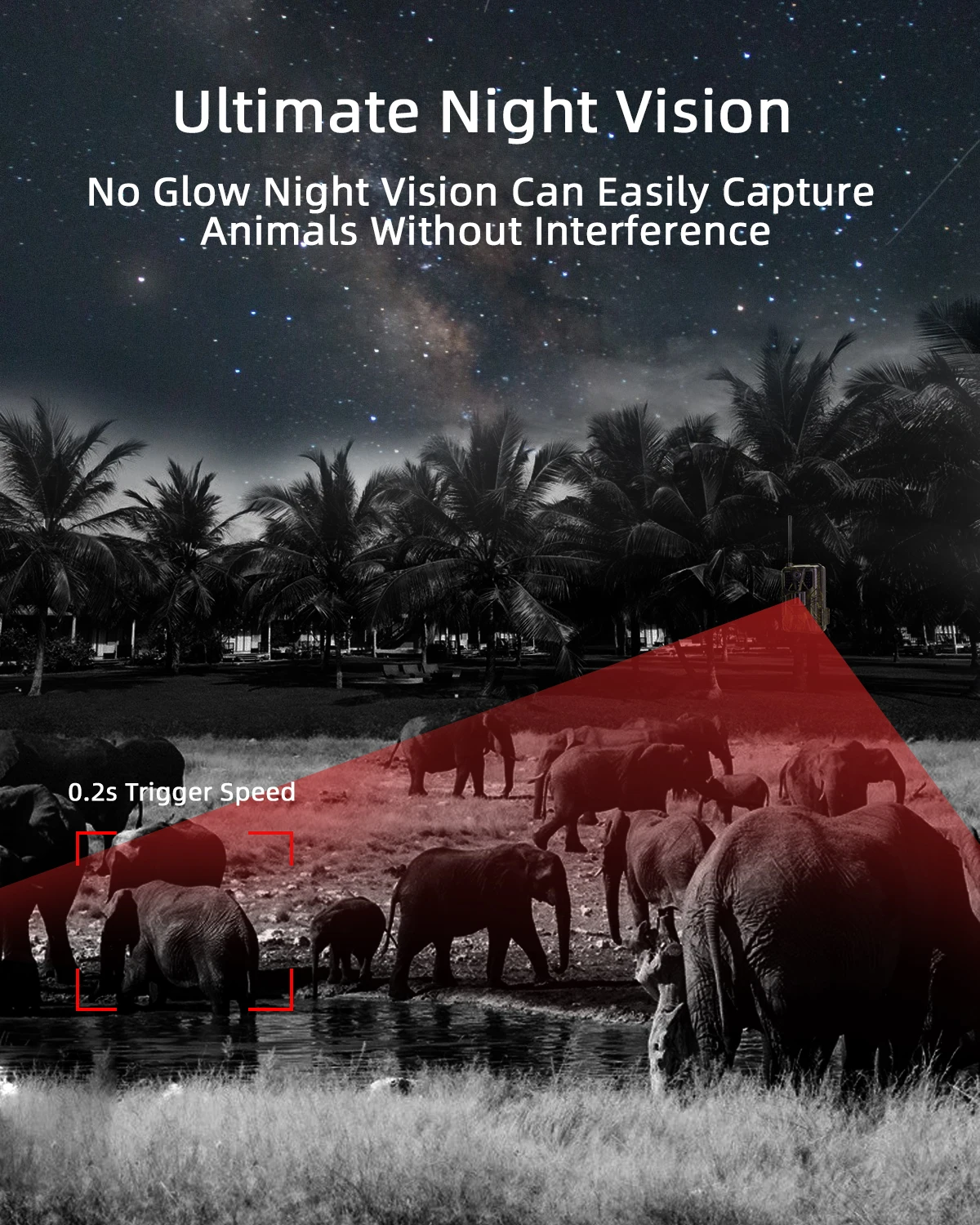 Cámara de fototrampeo 4G con streaming en directo 30 fps 4K nocturna - imagen 4
