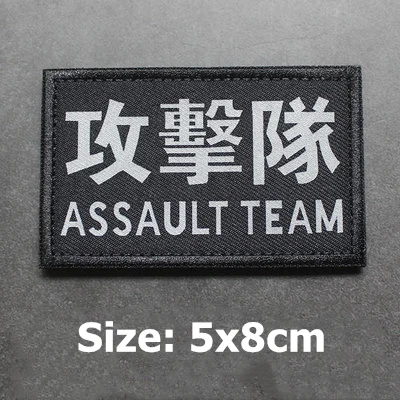 ASSAULT TEAM