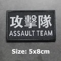 ASSAULT TEAM