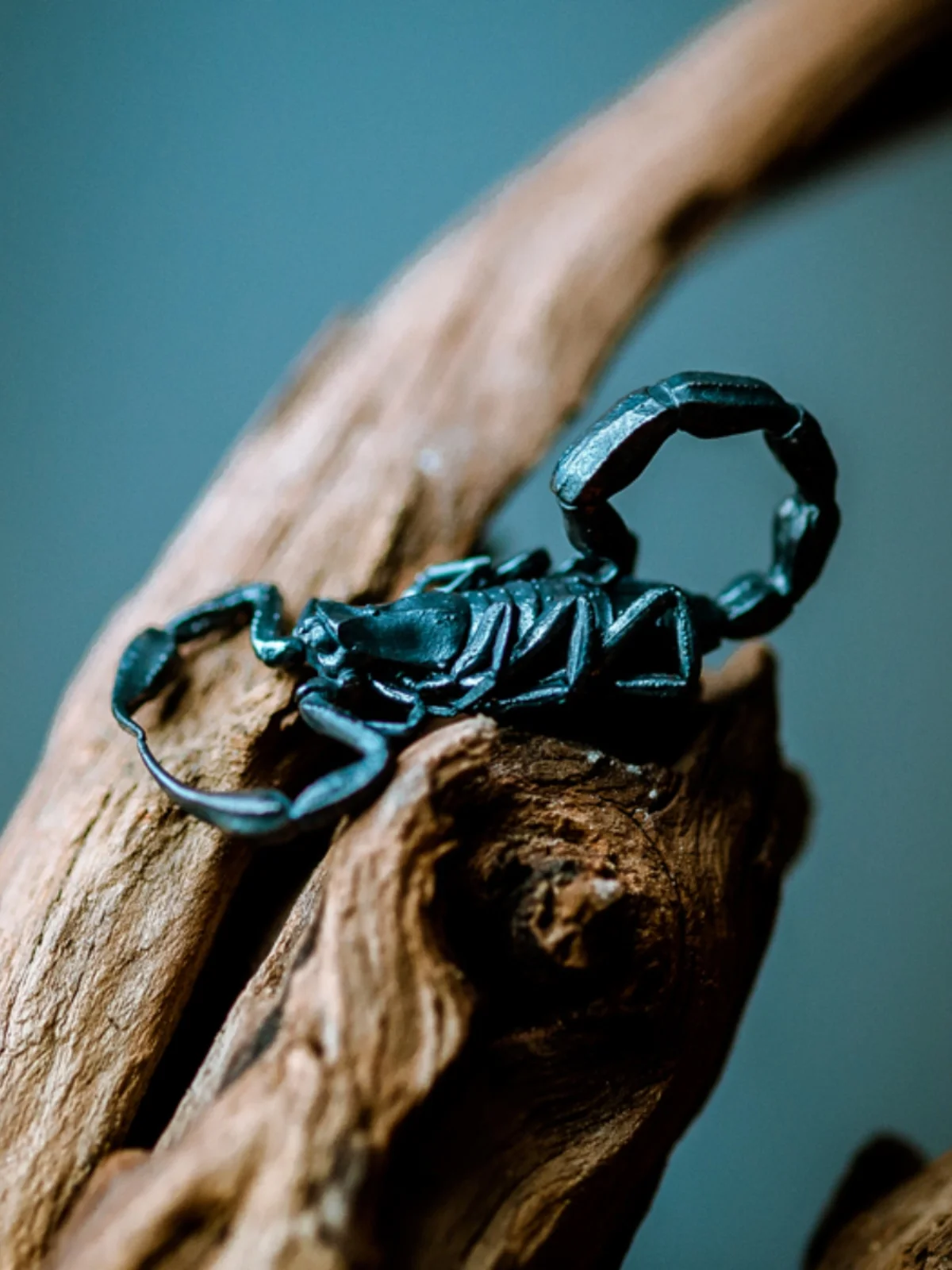 LLavero de escorpión de cobre Original hecho a mano, colgante de llave - imagen 5