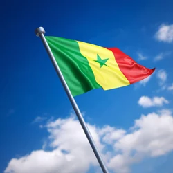 Bandera nacional de Senegal 90x150 cm ripstop para exterior