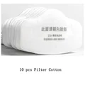 10 pcs Filter Cotton