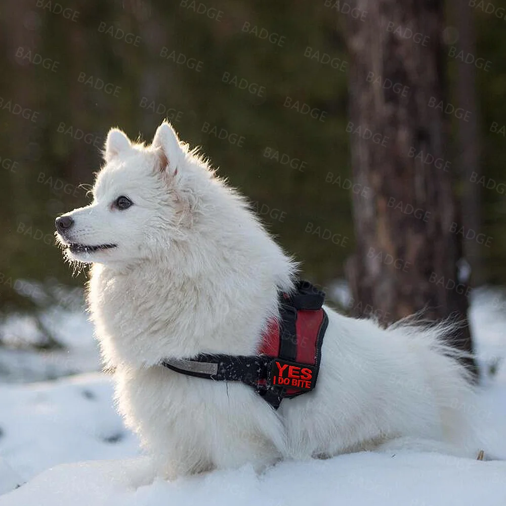 Parche de tela bordado con palabras divertidas, pegatinas de frases motivacionales, apliques de gancho, decoración de gorra de mochila de ropa - imagen 2