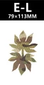 E-L-grass-10PCS