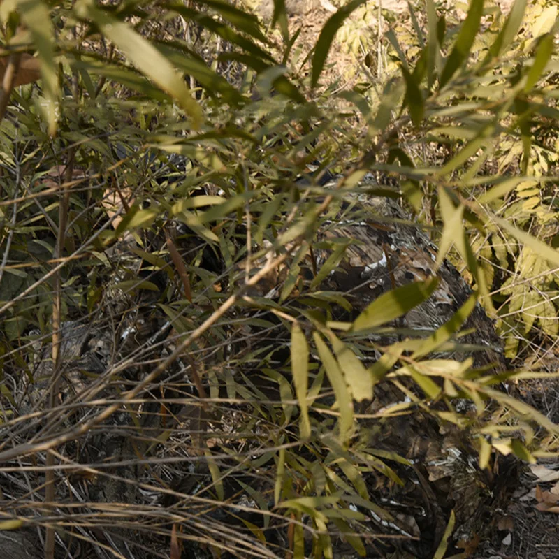 Ropa de camuflaje biónico Big Tree 2,0, fotografía al aire libre, observación de aves, caza, juego de entrenamiento CS, disfraz, traje Ghillie - imagen 4