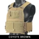 Coyote Brown