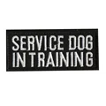 TH050-SERVICE DOG IN