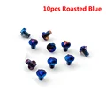 10pcs Roasted Screws