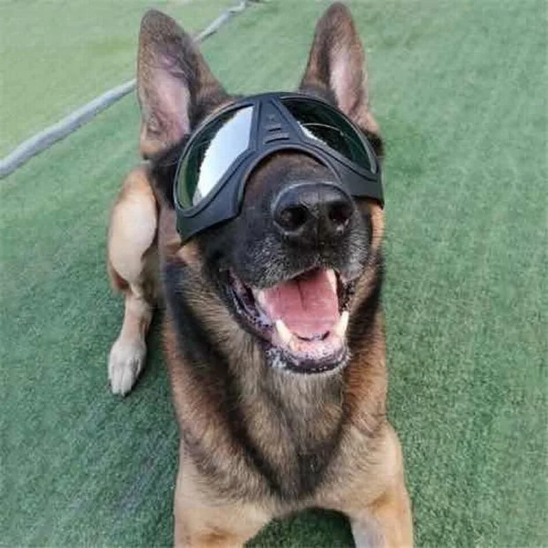 Gafas tácticas para perros: gafas protectoras de grado profesional para mascotas al aire libre - imagen 2