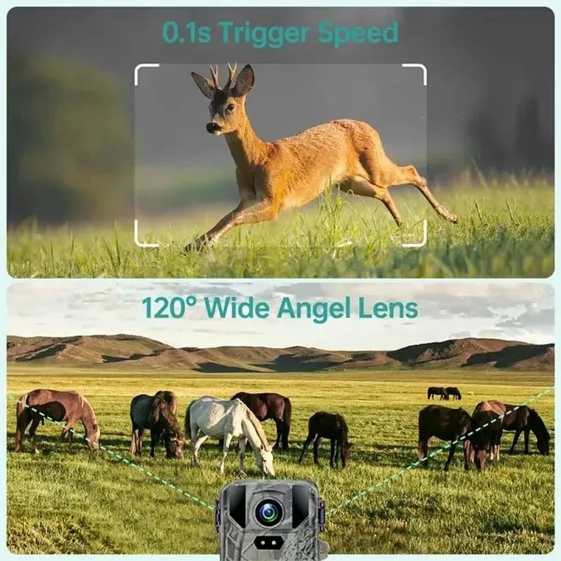 Trampa fotográfica Mini 4K MiNi800 50MP con visión nocturna - imagen 5