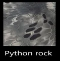 Python rock