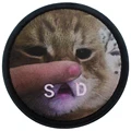 14 sad cat
