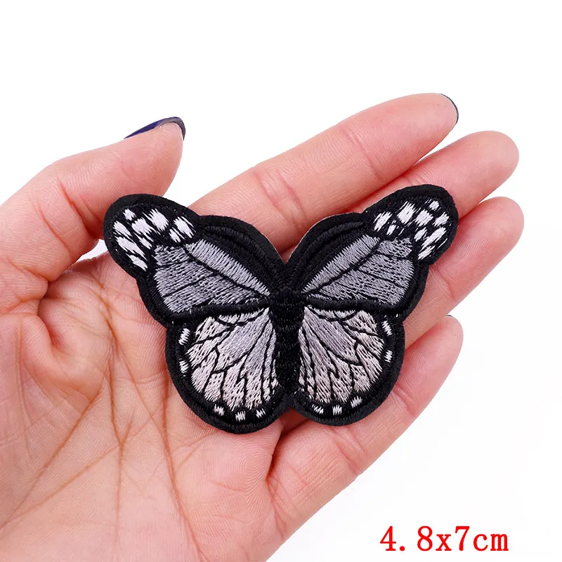 big butterfly8