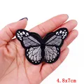 big butterfly8