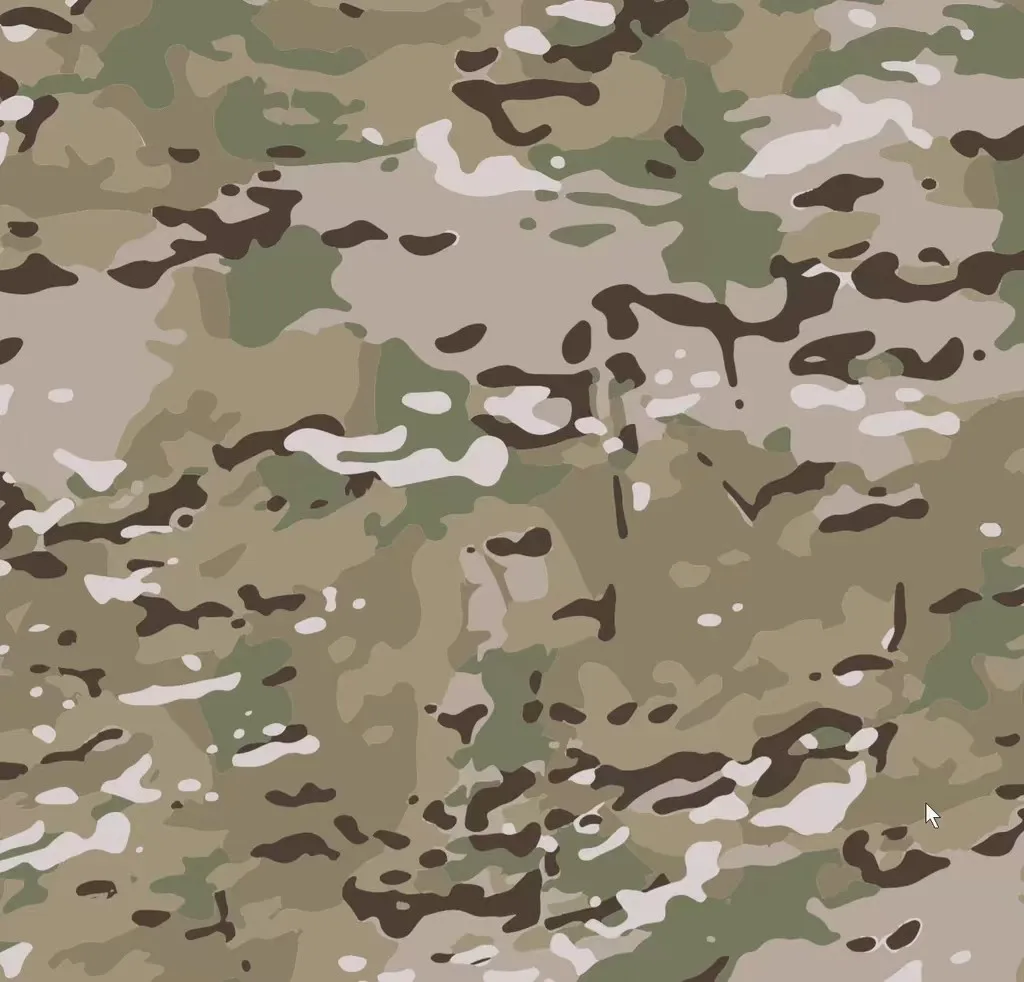 Multicam