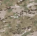 Multicam