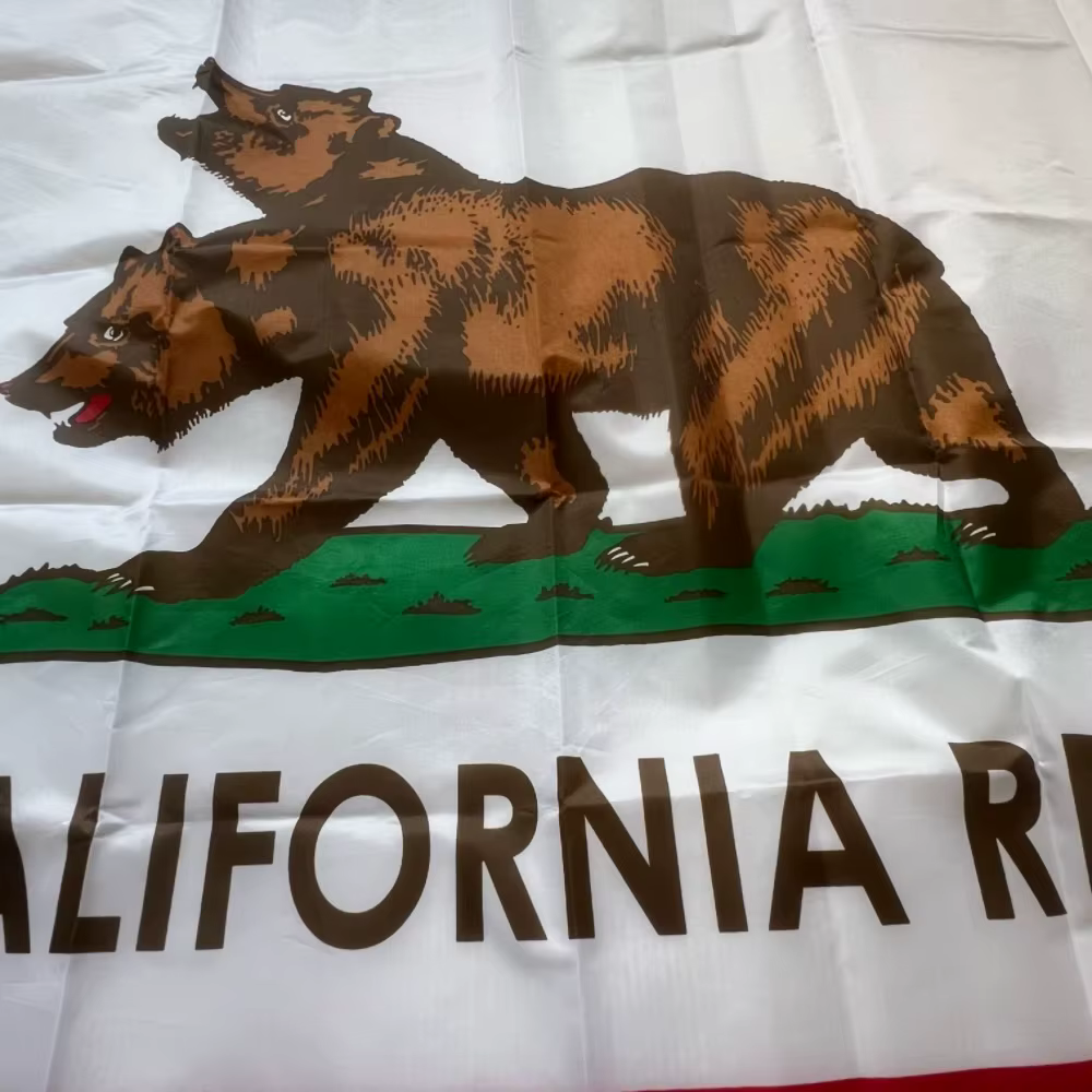 Bandera NCR Fallout – Oso bicéfalo República de California poliéster - imagen 2