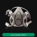 Mask Only