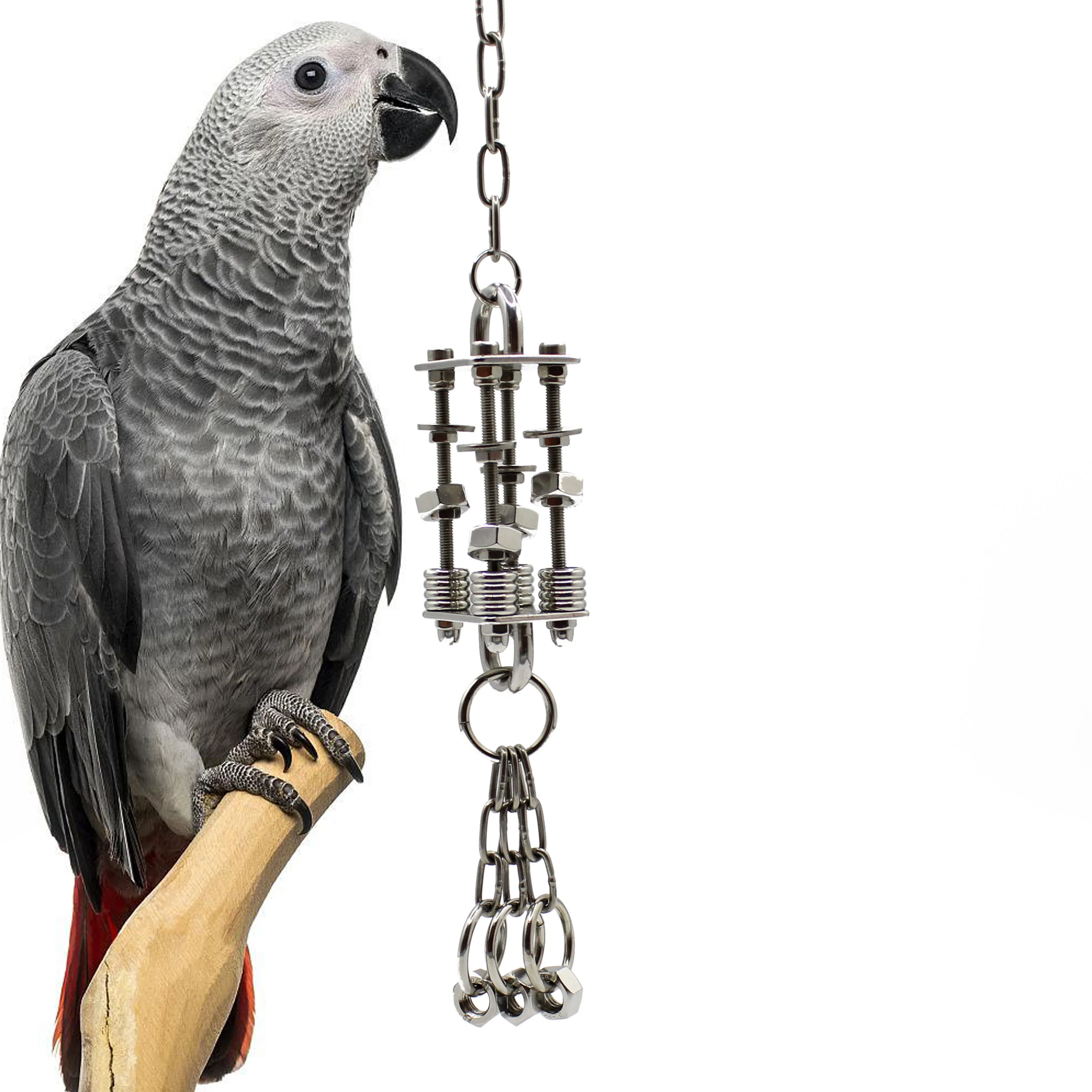 Juguete de campana de acero inoxidable, resistente, indestructible, duradero, juguete para masticar pájaros de Metal, jaula colgante, accesorio para loros, grises africanos más - imagen 2