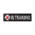 TH147-In Training