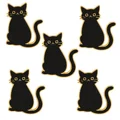 5pcs
