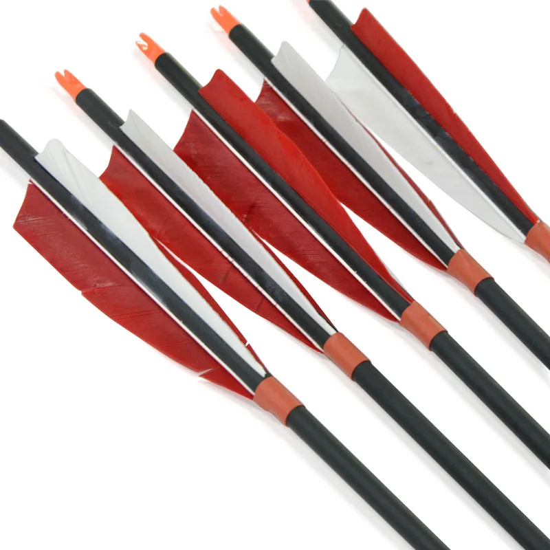 Flechas de tiro de plumas turcas, fibra de carbono, pernos de hierro, adecuadas para arco compuesto, caza, 10 unids/paquete, 500 - imagen 4