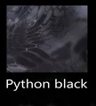 Python Black