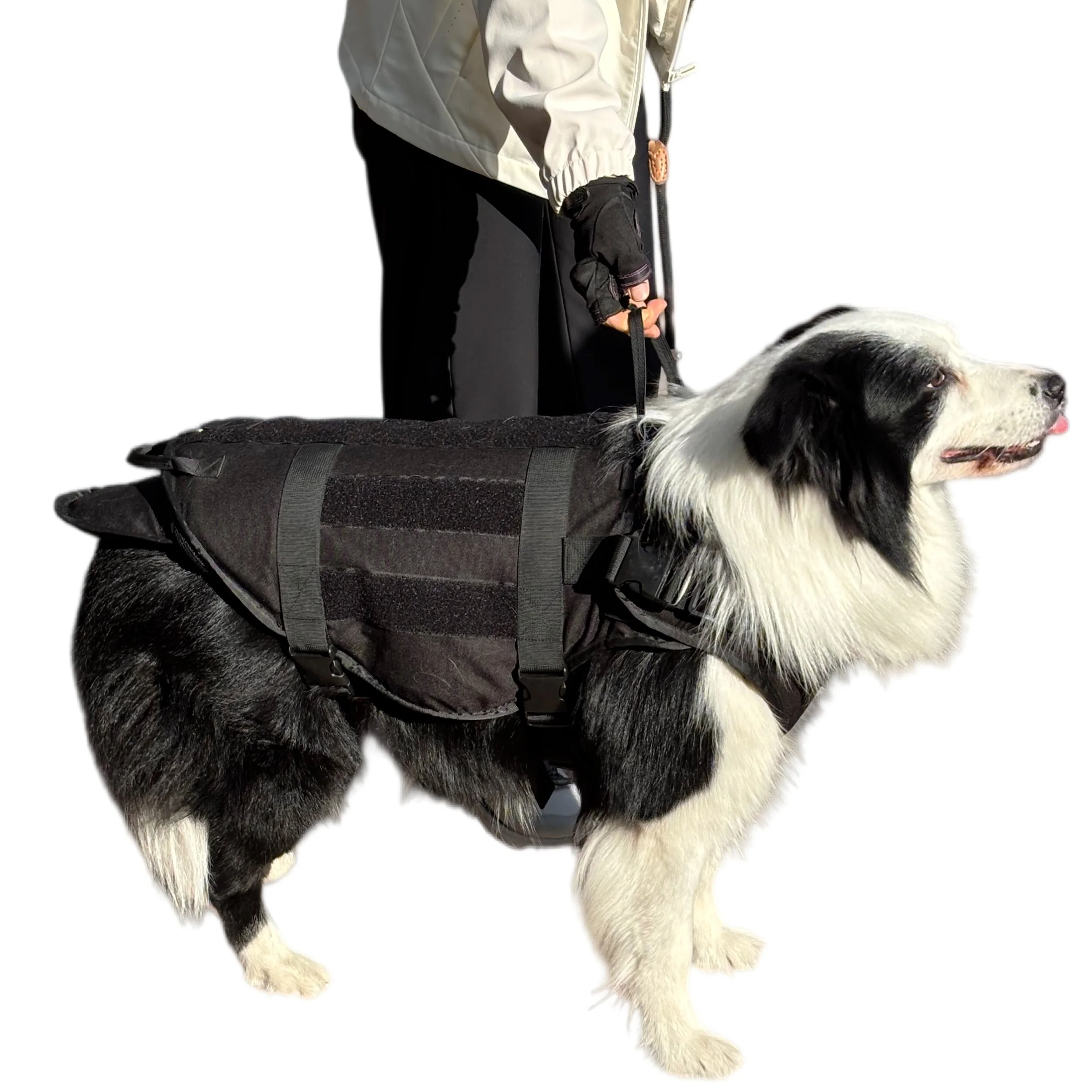 Chaleco antibalas táctico para perro, ajuste MOLLE y placa - imagen 2