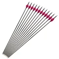 SP600 12x Rose Red